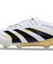 Adidas Predator Elite FG Glory Pack